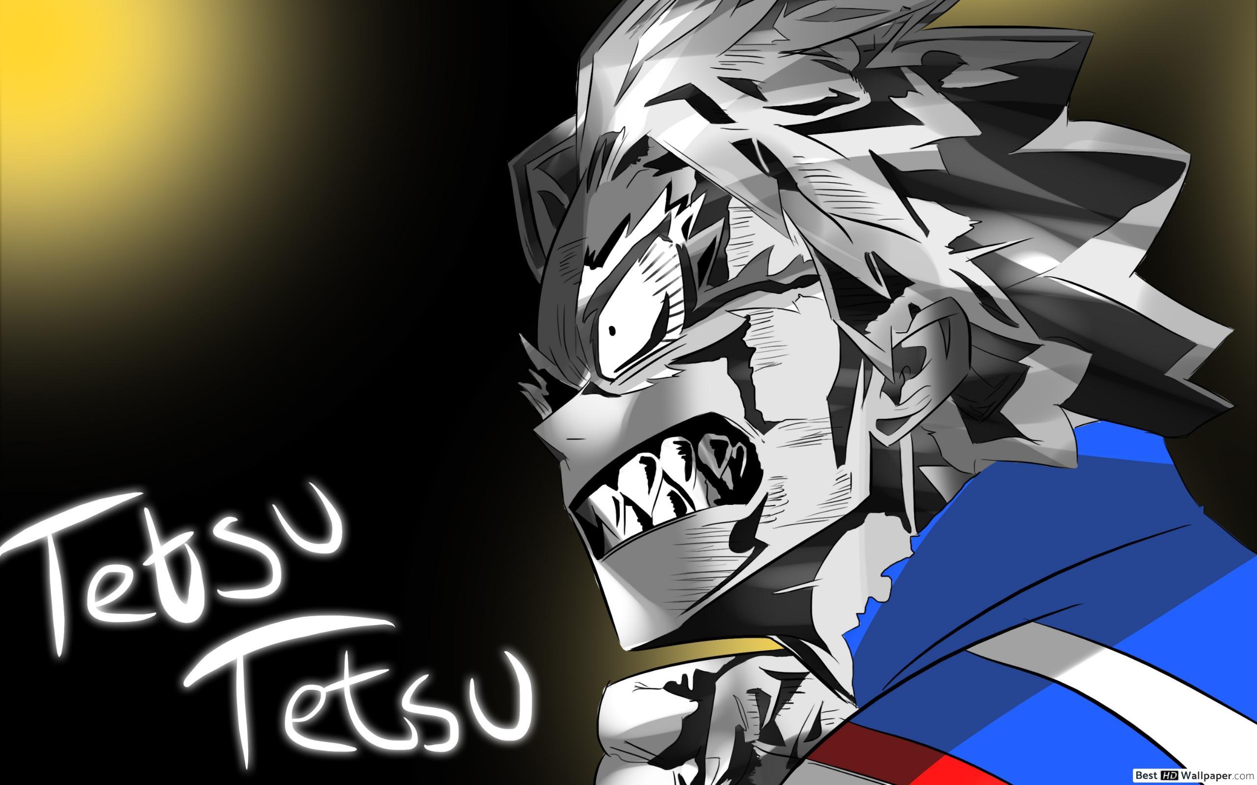 2560x1600 My Hero Academia Tetsutetsu HD wallpaper download