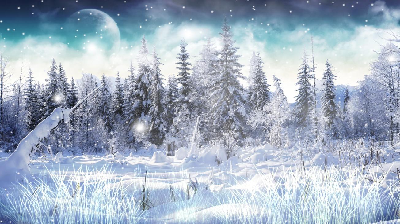 Winter Snowfall Wallpapers - Top Free Winter Snowfall Backgrounds -  WallpaperAccess