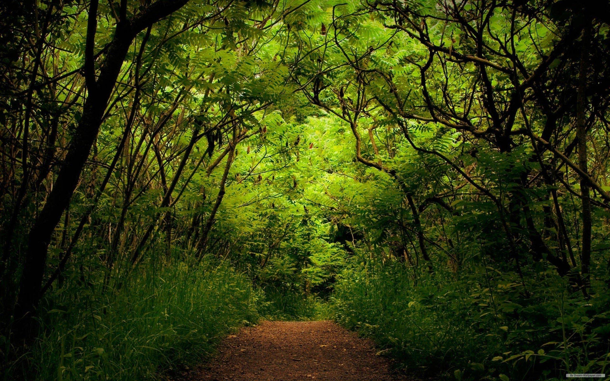 2560x1600 Life is Full of Adventure HD wallpaper