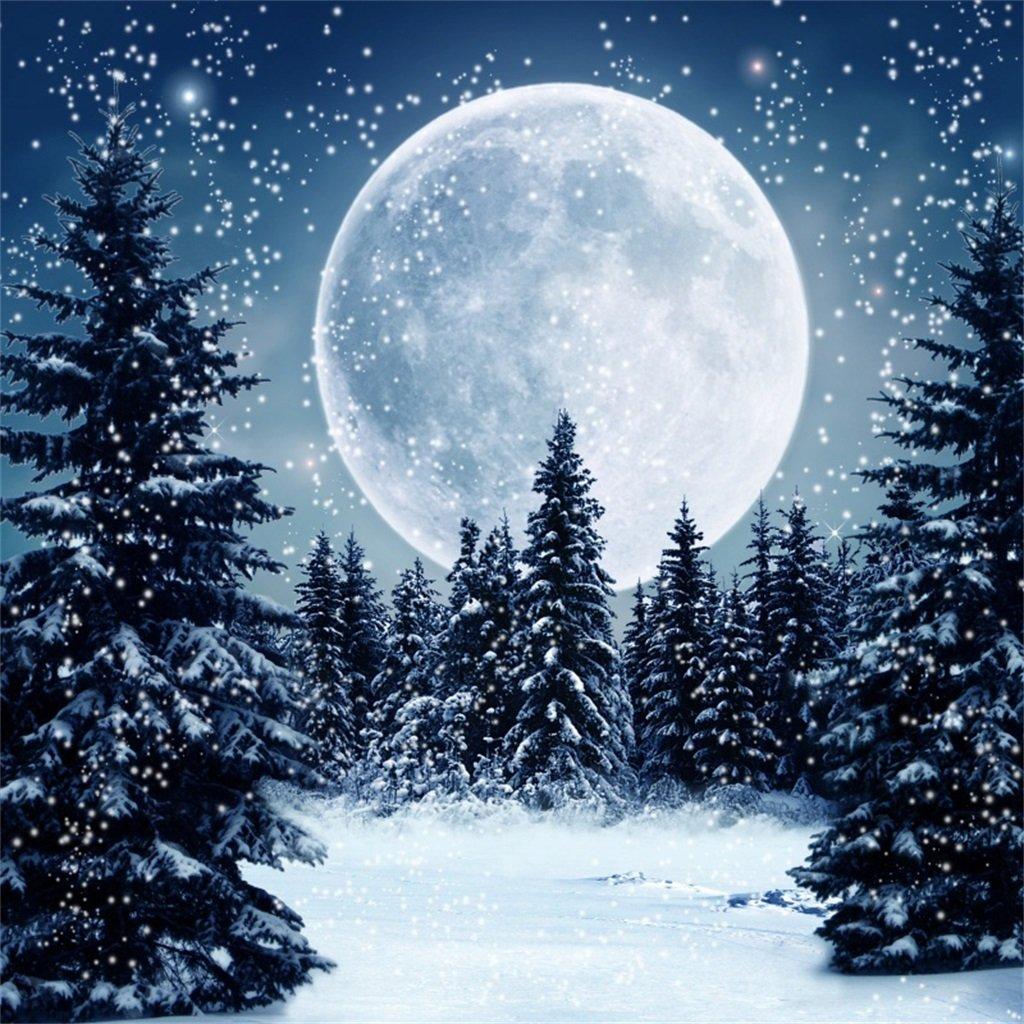 1024x1024 AOFOTO 8x8ft Winter Snowfall Night Moon Forest Background Photography Backdrop Kid Adult Artistic Portrait Photo Studio Props Video Drape Wallpaper : Amazon.in: Electronics