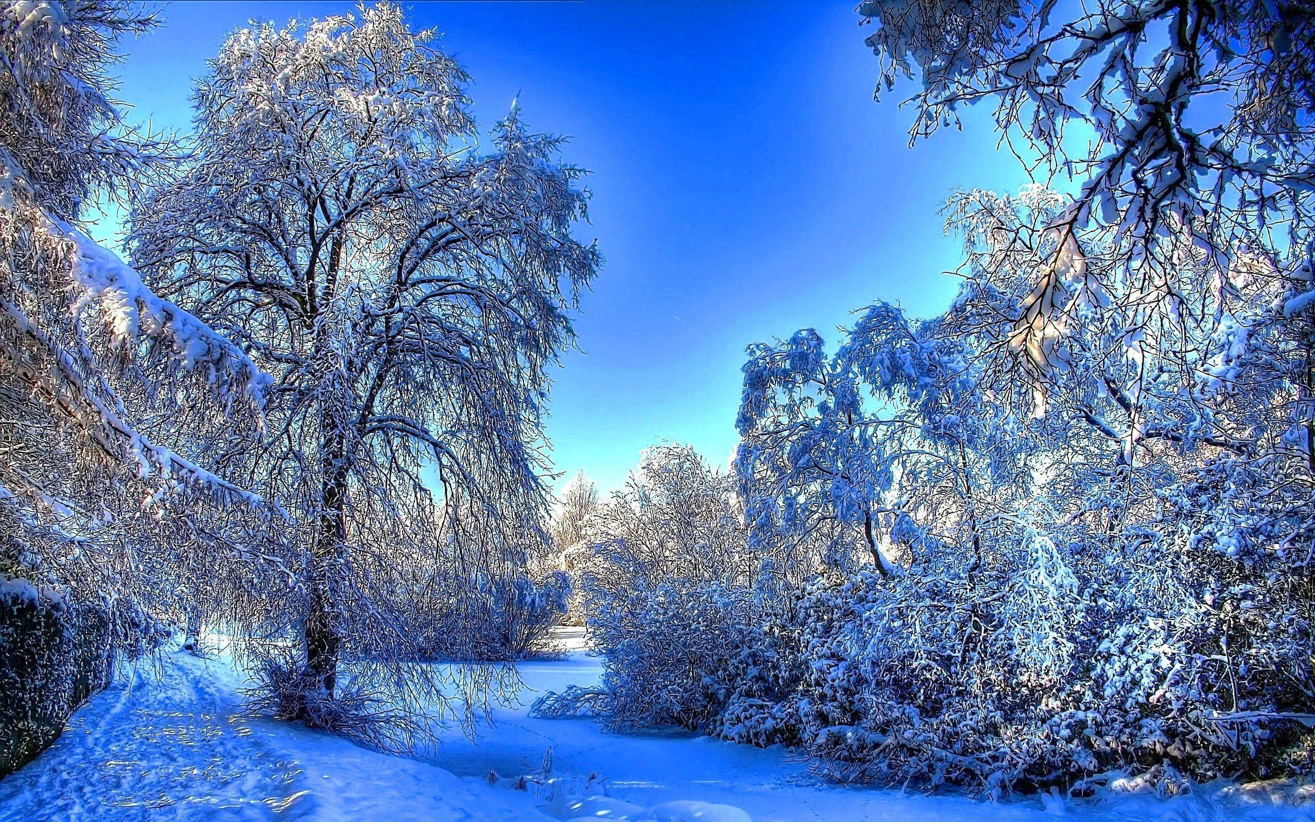 2560x1600 Winter Snow Wallpaper