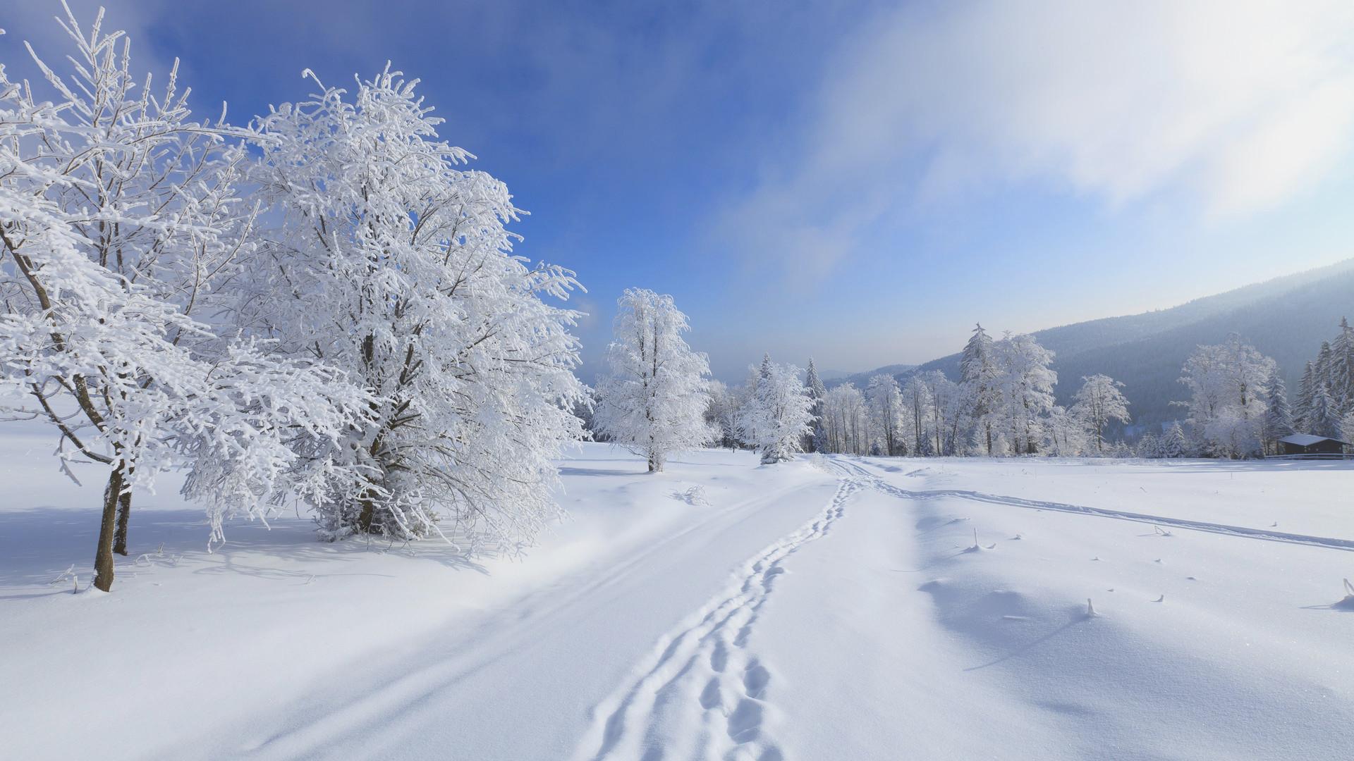 1920x1080 1920x Snowfall Wallpaper Pict Best Background Image HD