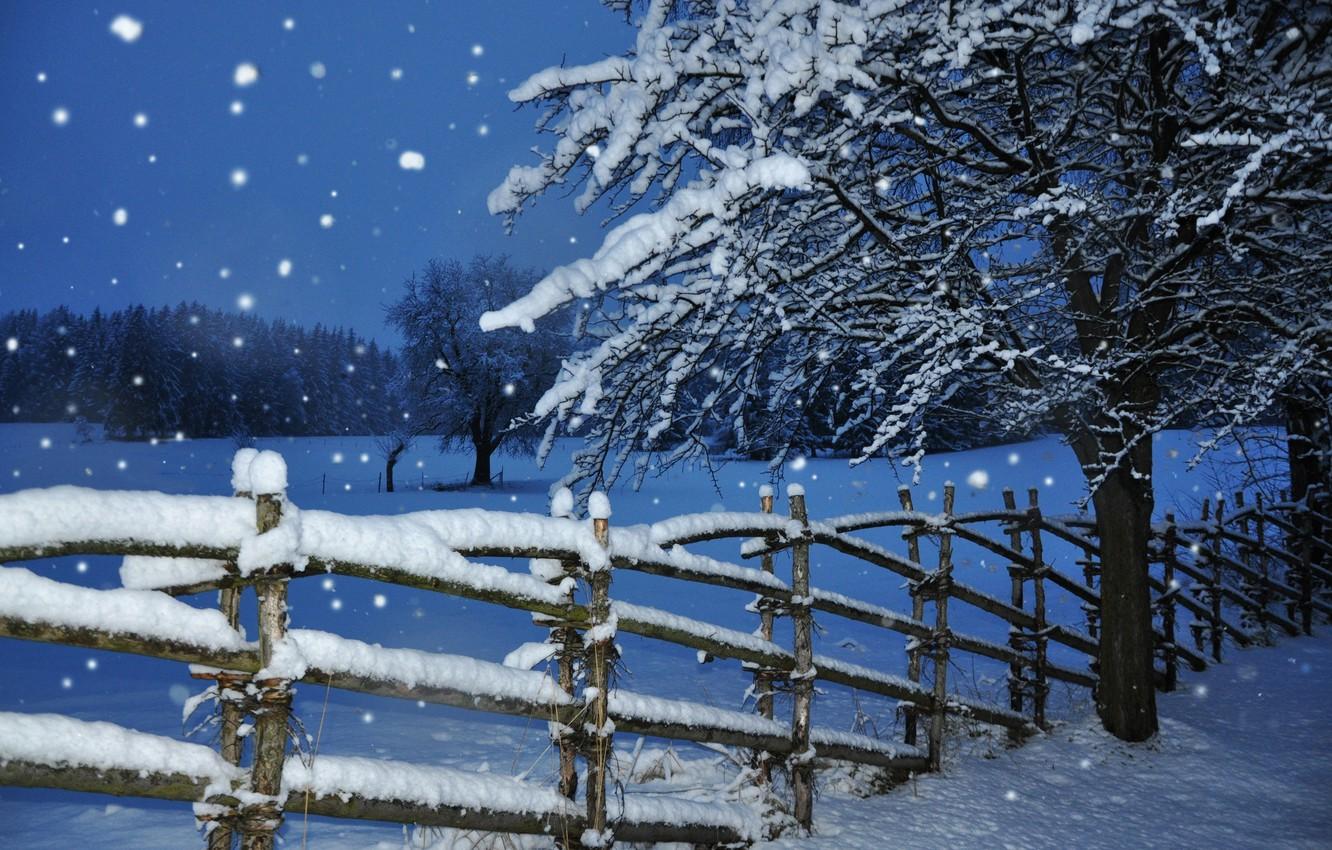Winter Snowfall Wallpapers - Top Free Winter Snowfall Backgrounds ...