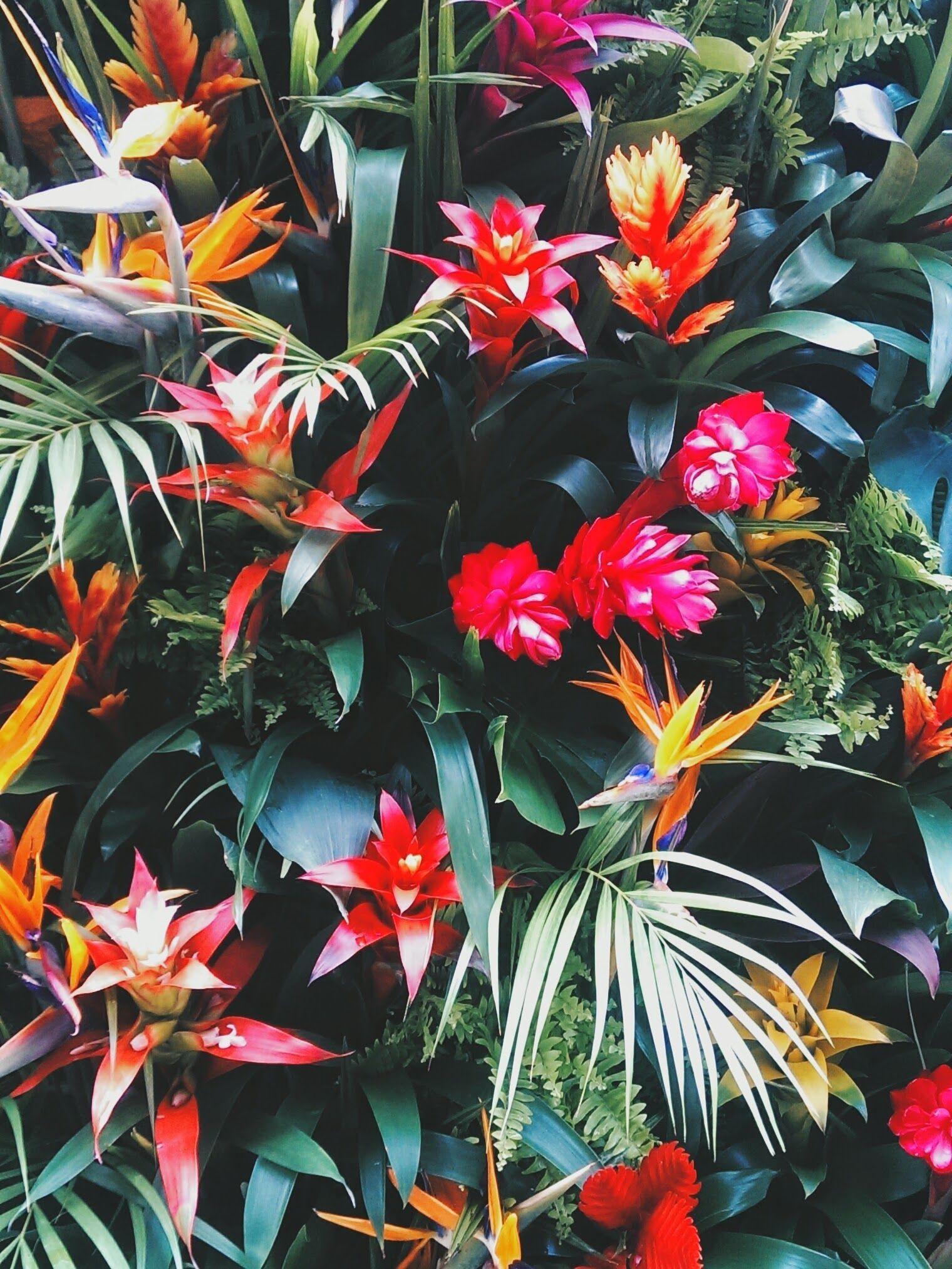 1520x2025 Floral Nike Desktop Wallpaper