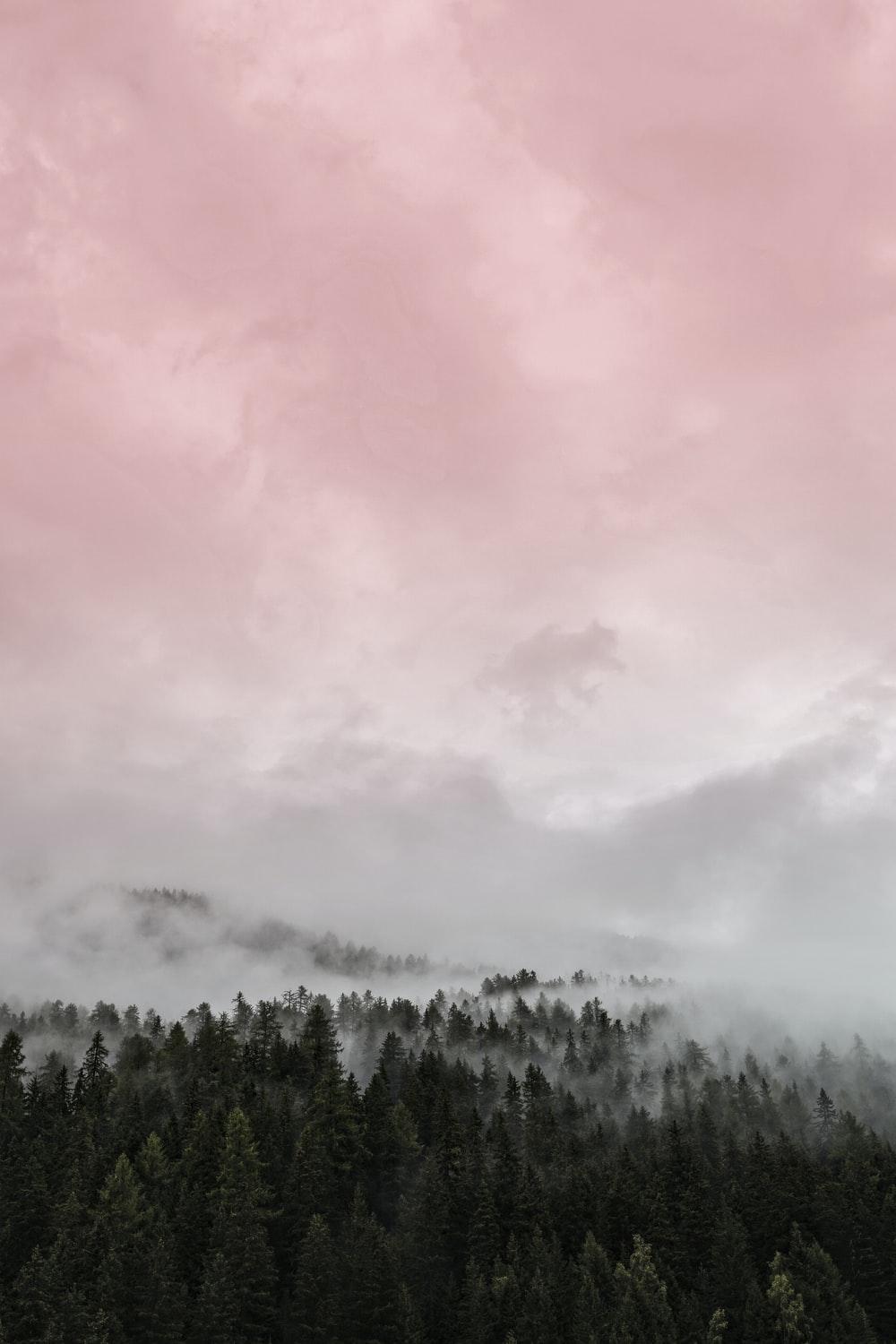 1000x1500 green trees under white clouds during daytime photo