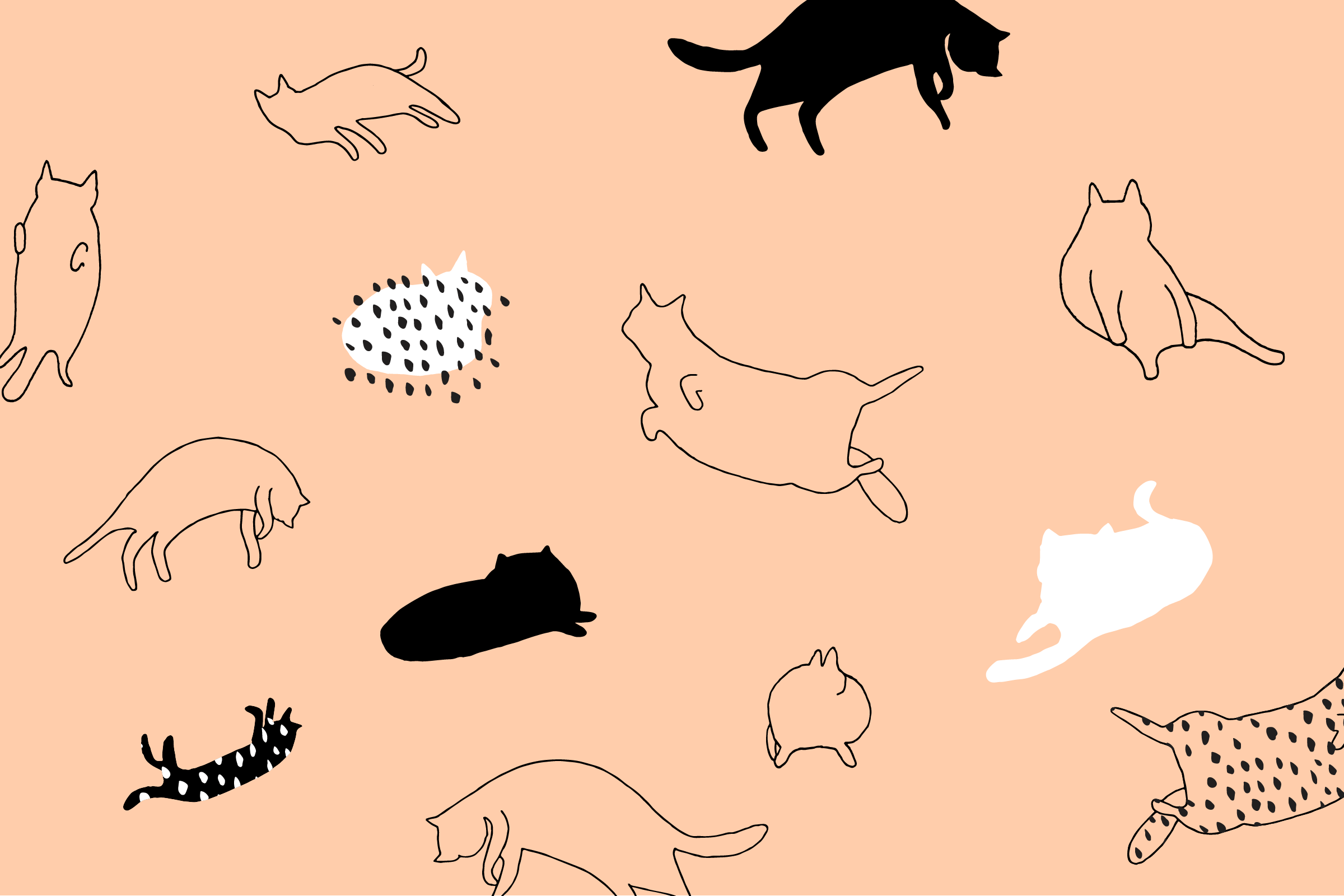 2400x1600 Aesthetic Cat Landscape Wallpaper