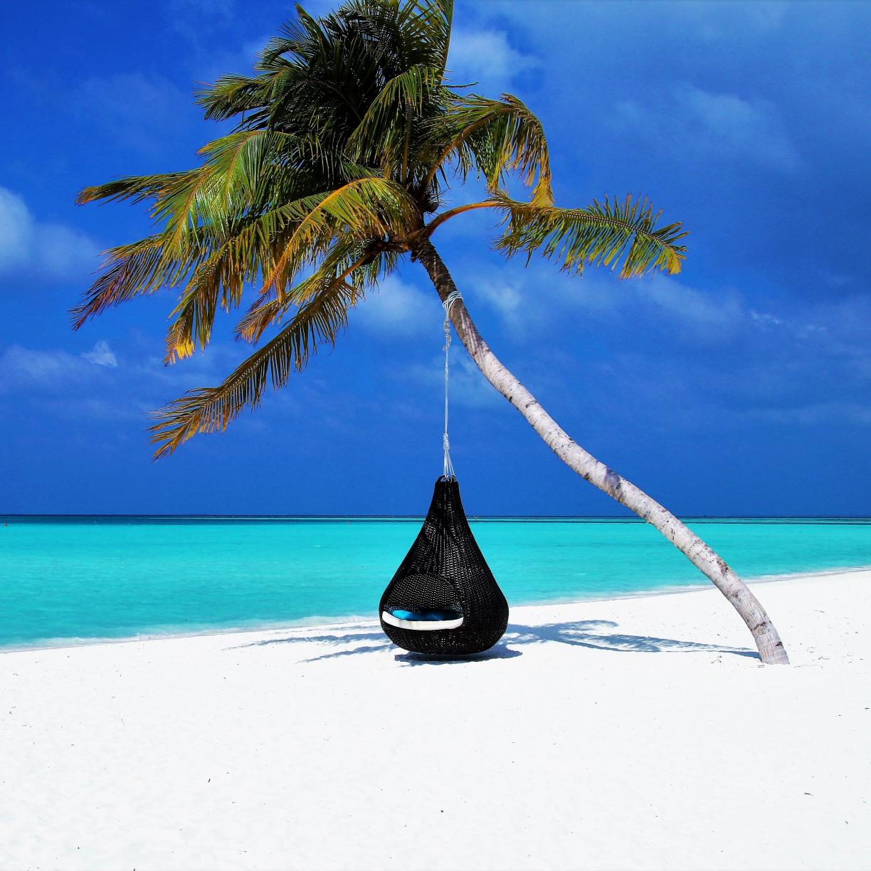 1224x1224 Desktop wallpaper maldives, islands, palm tree, travel, HD image, picture, background, e471d4