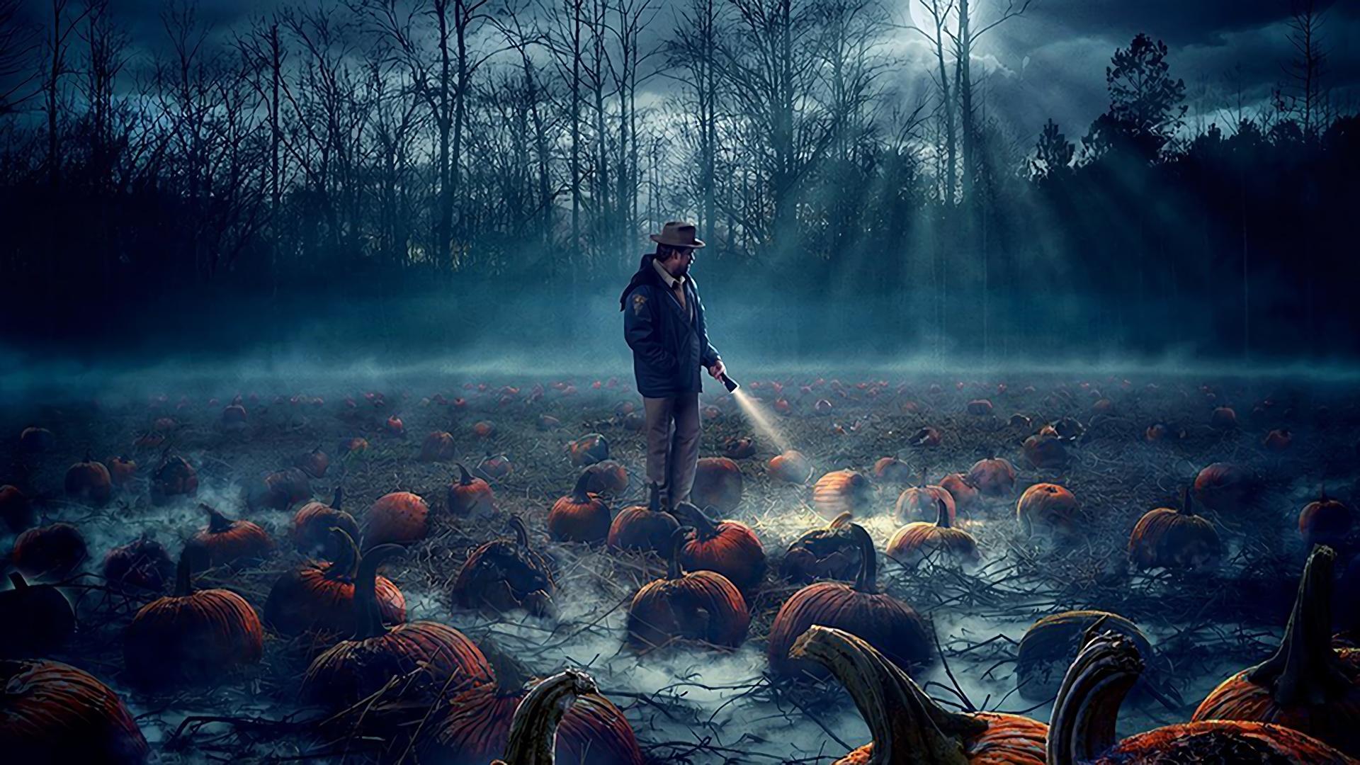 1920x1080 Free download Stranger Things [TV Series] Wallpaper HD [1920x1080] for your Desktop, Mobile & Tablet. Explore Stranger Things Wallpaper. Stranger Things Wallpaper, Stranger Things Eleven Wallpaper, Stranger Things 1080p Wallpaper