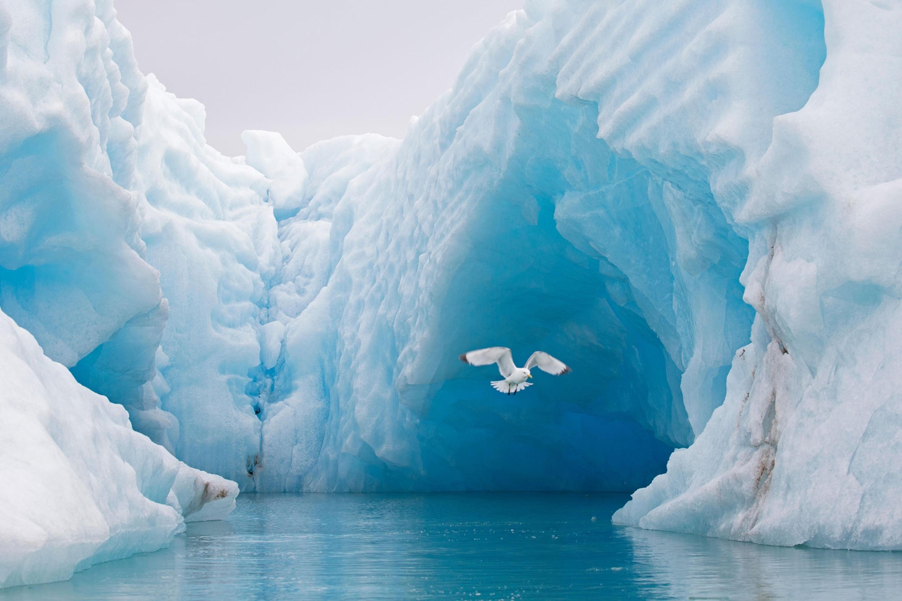 Про ледовитый океан. Арктика. Льды Северного Ледовитого океана. Арктический океан. Арктические моря.