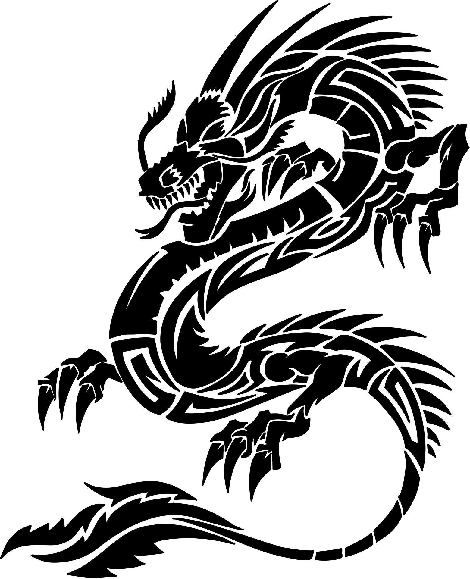 1560x1922 Dragon Tattoo Wallpaper