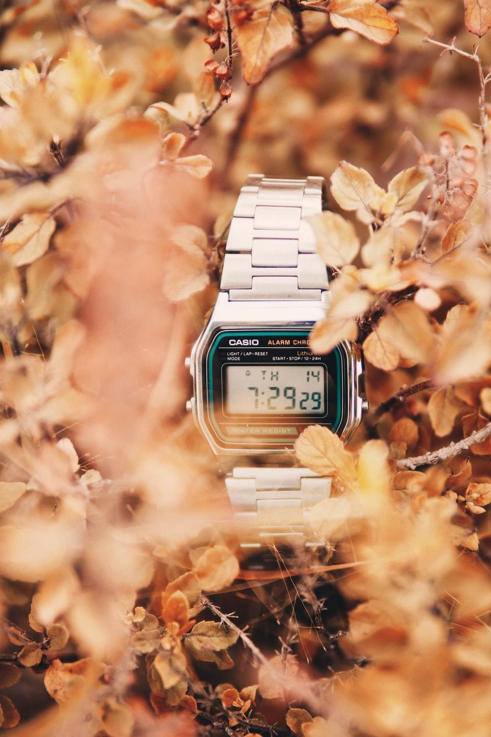 1000x1500 Casio Watch Picture. Download Free Image