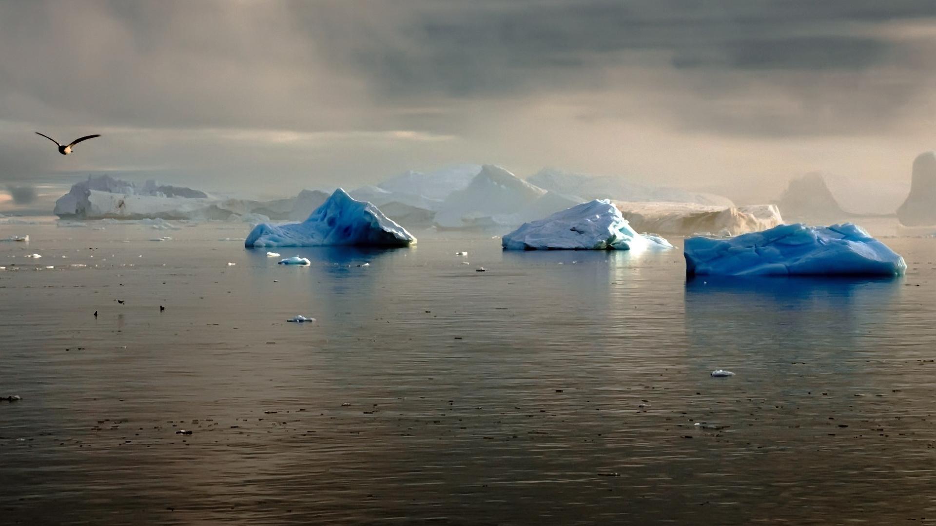 1920x1080 Wallpaper Iceberg Overcast Greenland Sea Seagull