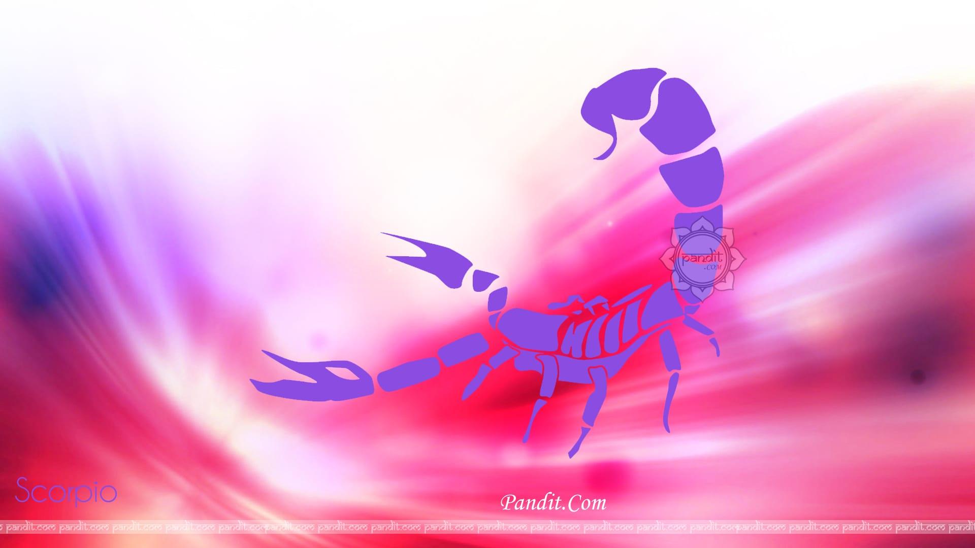 1920x1080 What Is Scorpio Sun Signs Horoscope