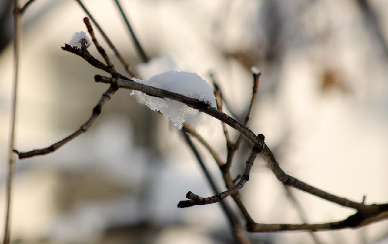 1280x804 Warm Winter wallpaper. Warm Winter