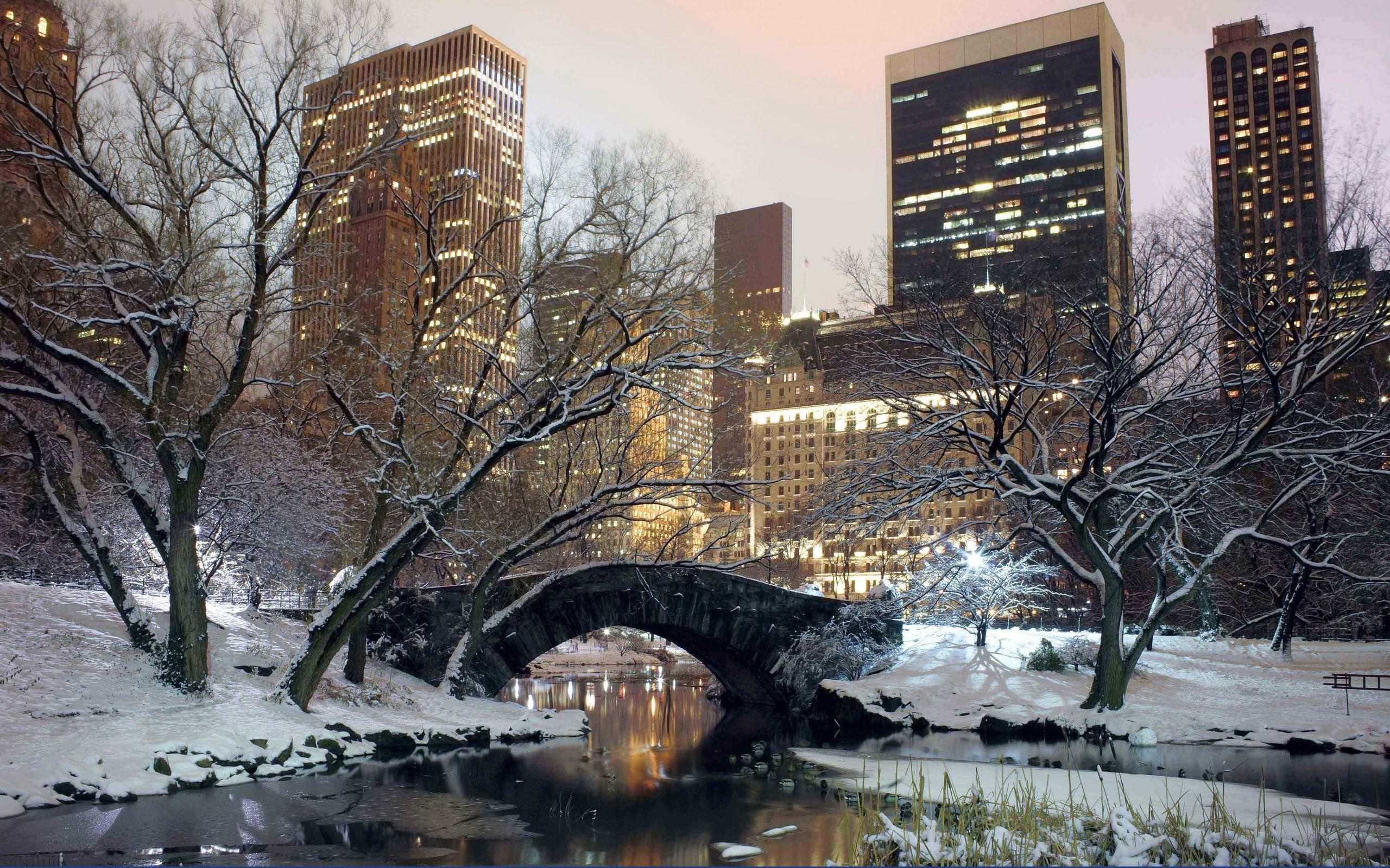 2560x1600 Winter, Park, America, Bridge, New york wallpaper