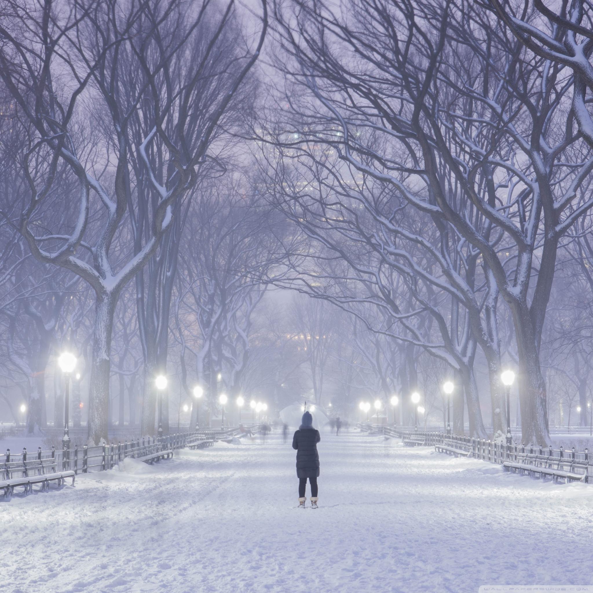 2048x2048 Central Park, New York City, Winter Background Ultra HD Desktop Background Wallpaper for 4K UHD TV : Widescreen & UltraWide Desktop & Laptop : Tablet