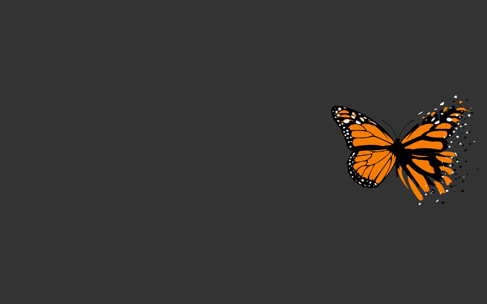 1920x1200 Orange And Black Butterfly With Simple Grey Background Butterfly HD Wallpaper
