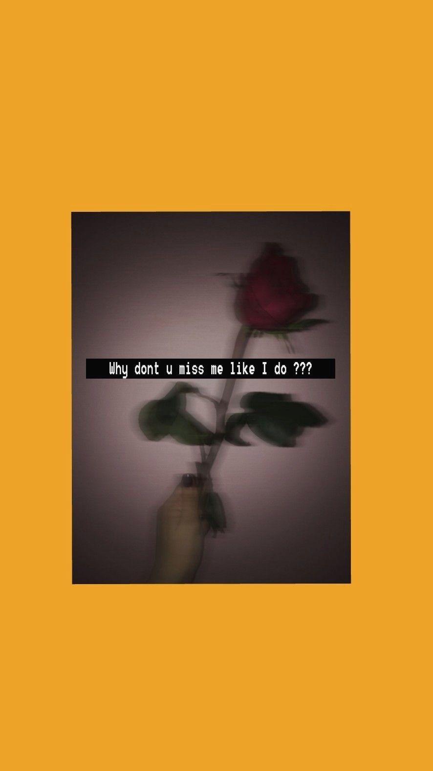 886x1576 iPhone Vintage Aesthetic Wallpaper