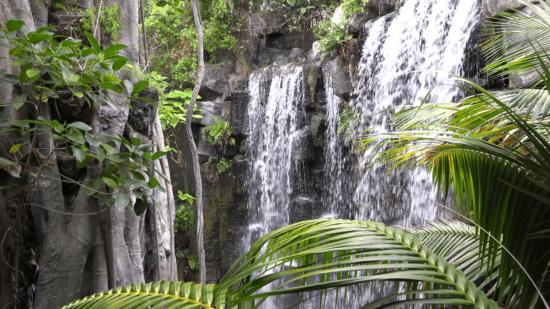1920x1080 Free photo: Exotic Waterfall, Parks, Peace