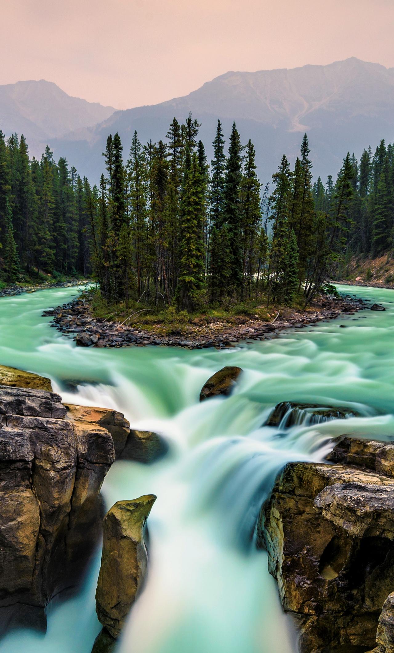 1280x2120 Download Green, forest, water flow, waterfall, nature wallpaper, 1280x iPhone 6 Plus