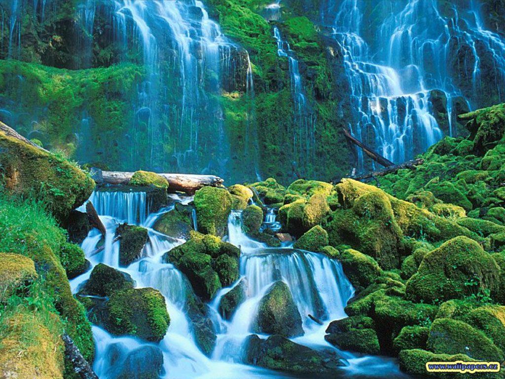 1024x768 3D Jungle Waterfall Live Wallpaper Free Download