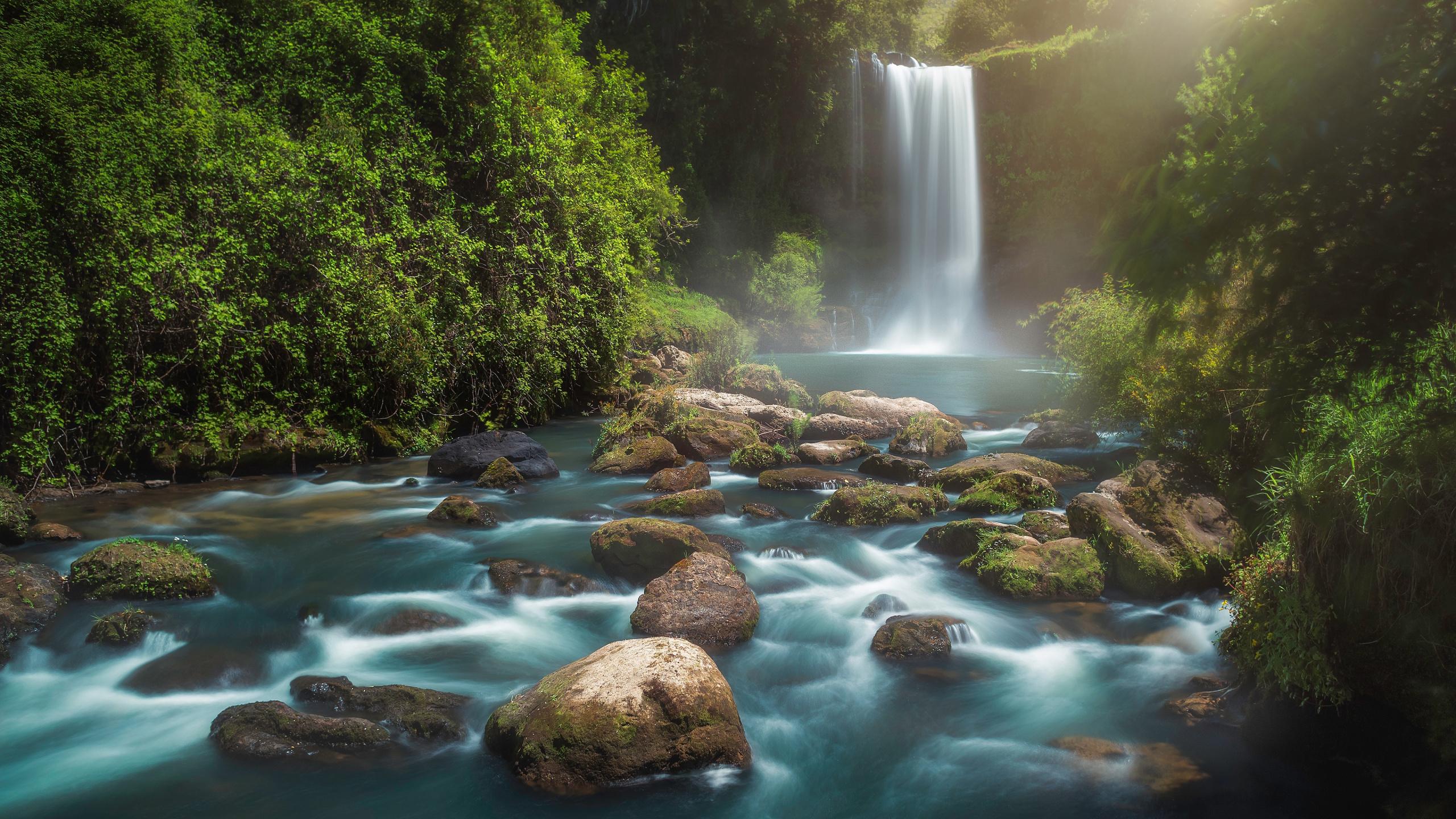 2560x1440 Download Nature, rocks, stream, waterfall, forest wallpaper, 2560x Dual Wide, Widescreen 16: Widescreen