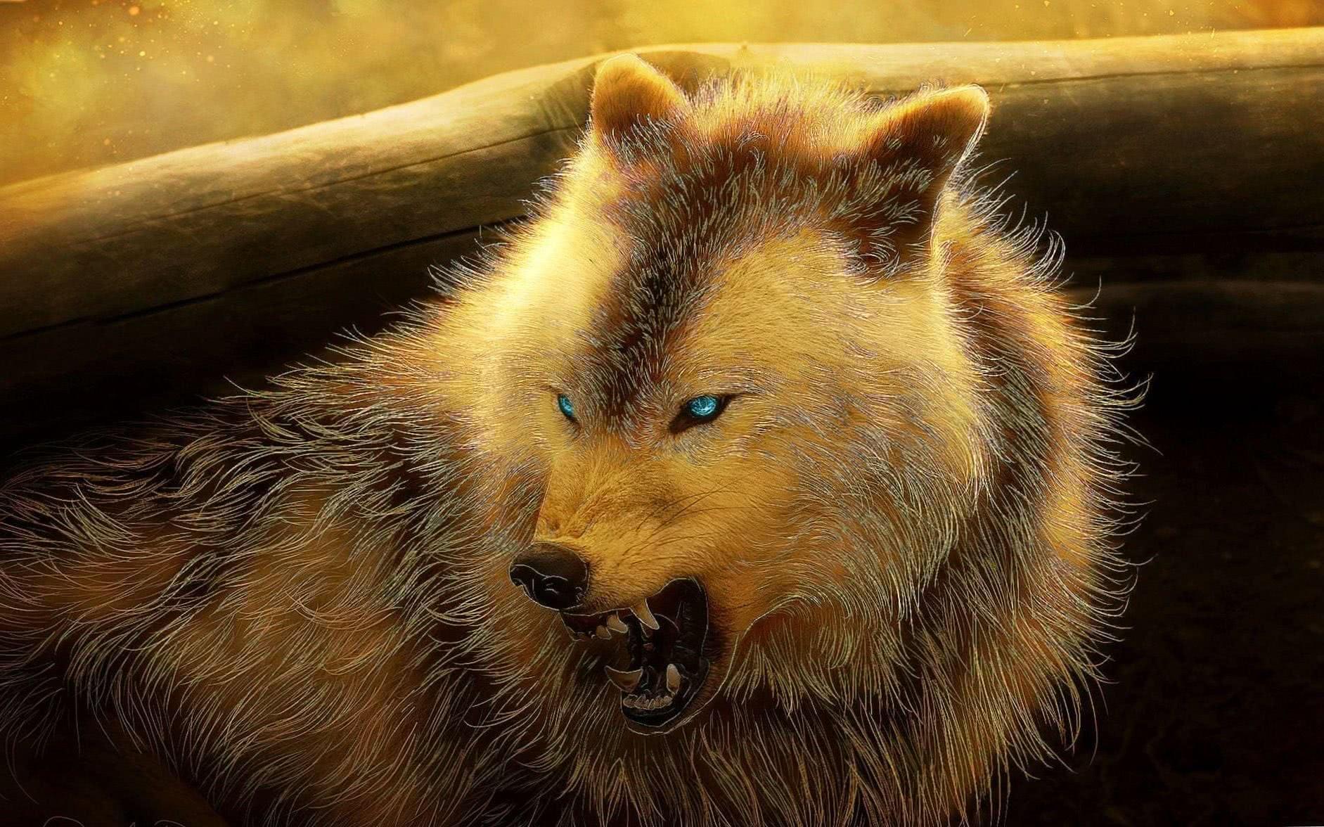 1883x1176 Angry Wolf Wallpaper 4K IPhone Wallpaper.pro