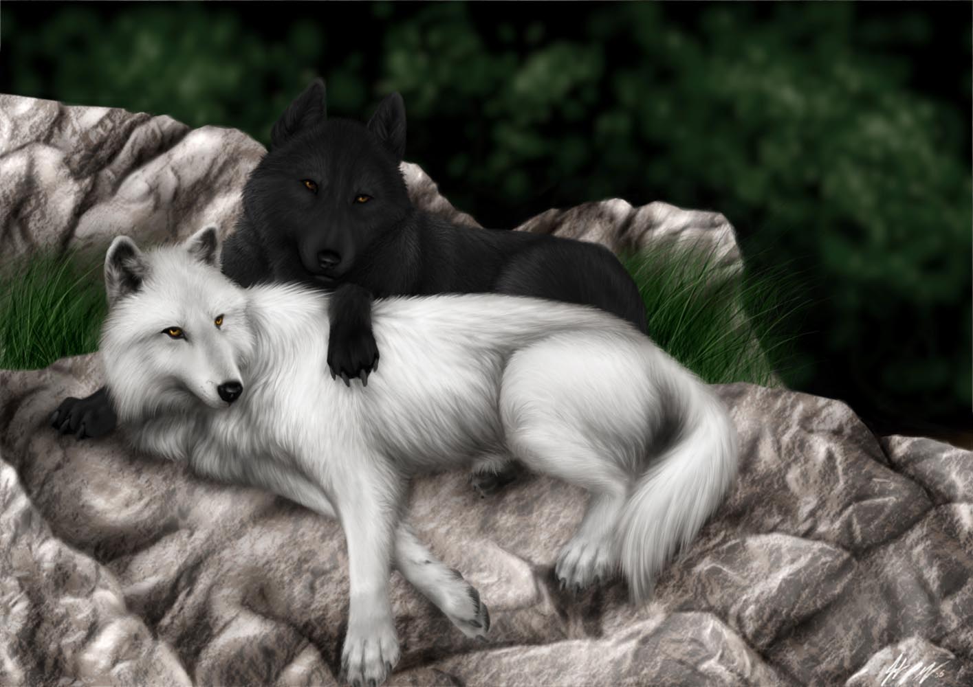 1415x1000 Fantasy Wolf Background