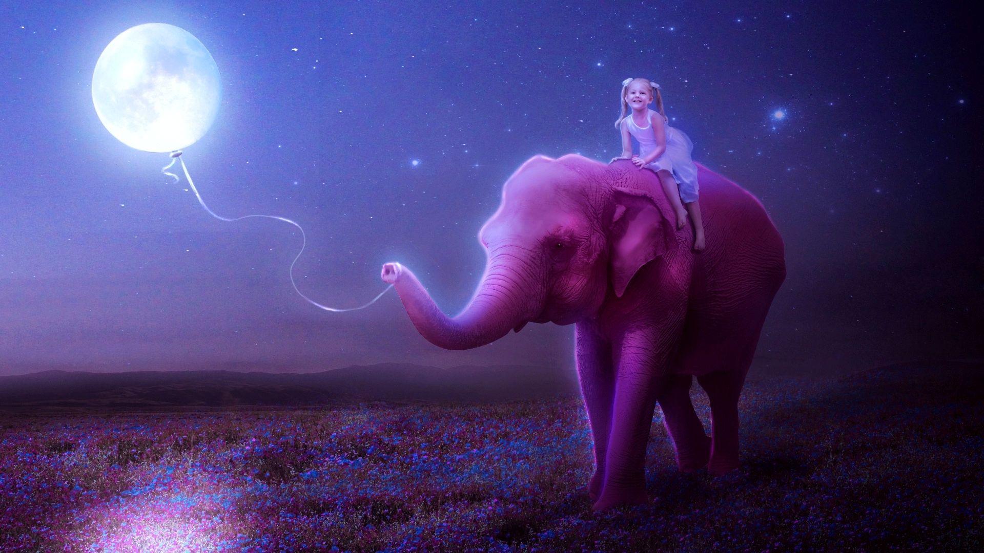 1920x1080 Pink Elephant Wallpaper, HD Pink Elephant Background