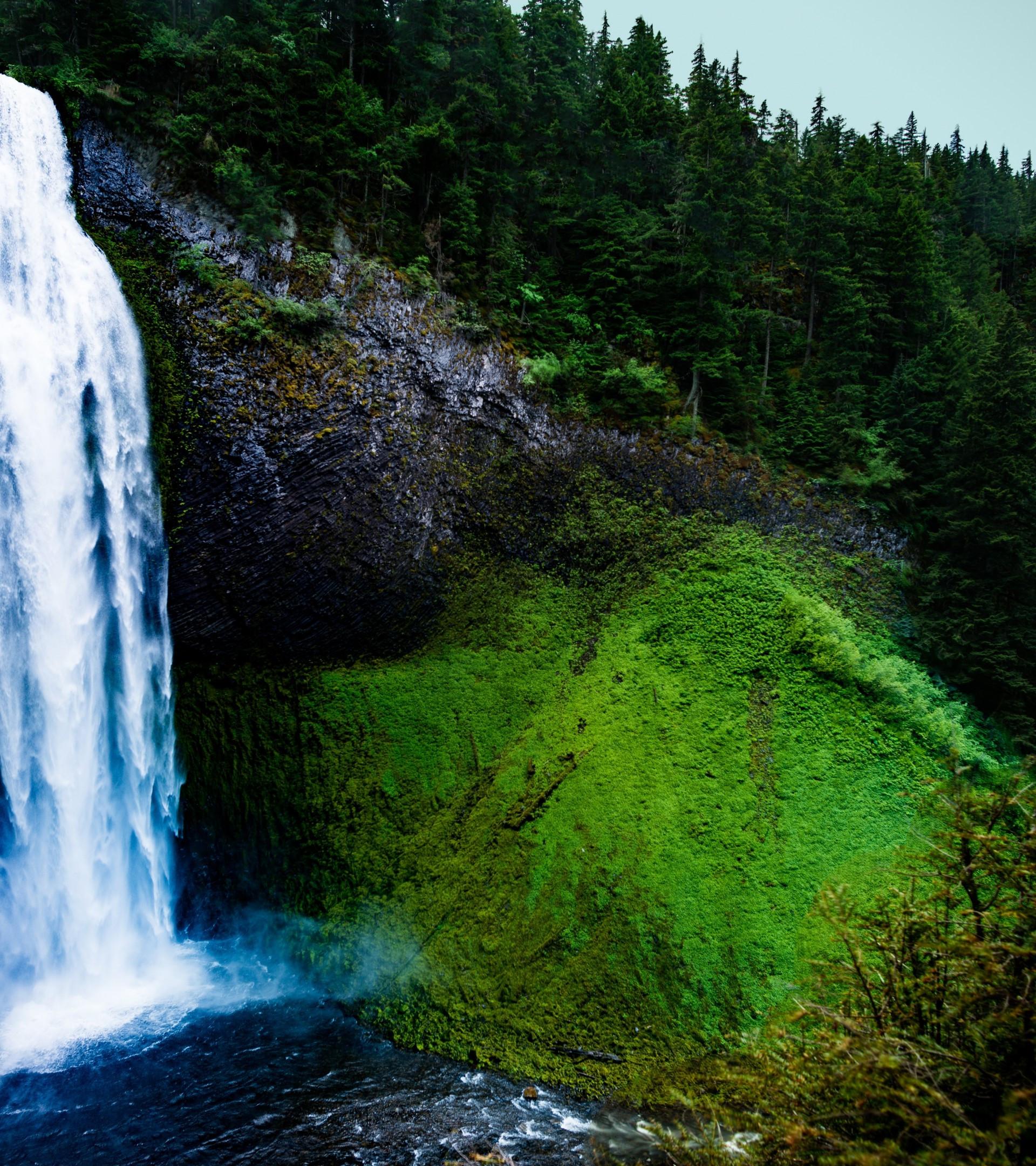 1920x2160 Download 1920x2160 Waterfall, Moss, Trees, Rocks Wallpaper