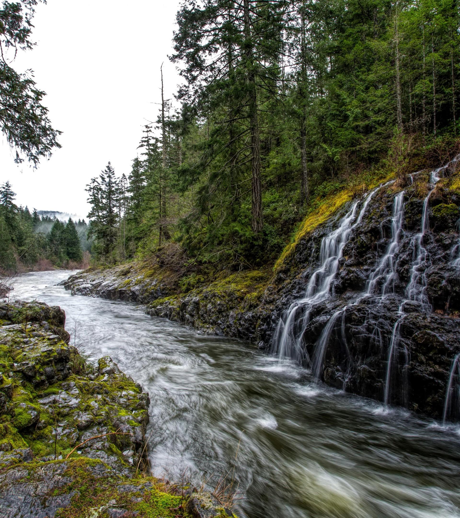1920x2160 Download 1920x2160 Waterfall, River, Rocks, Forest, Trees Wallpaper