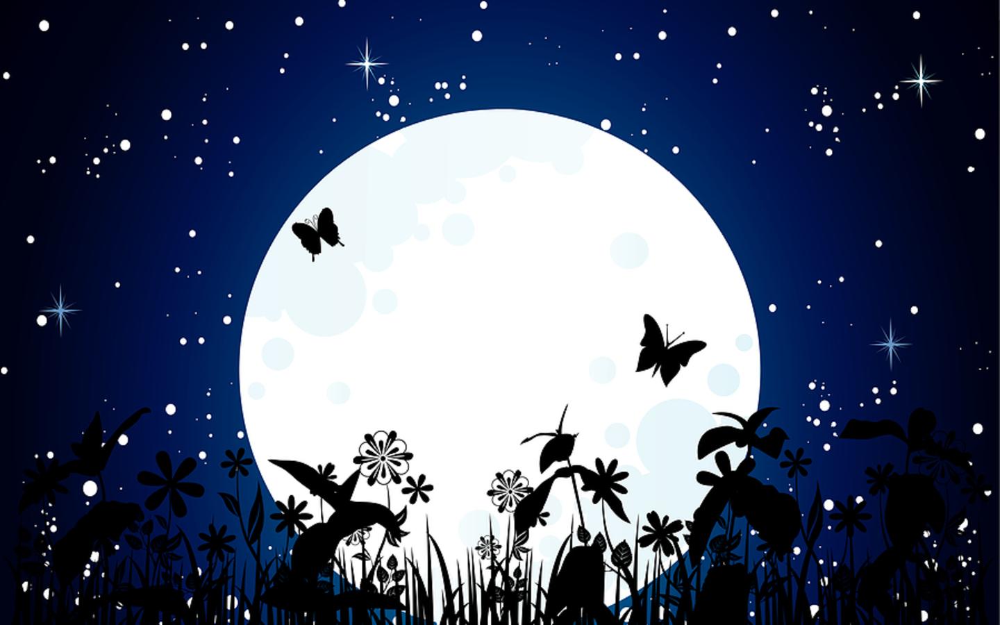 1440x900 Butterfly Computer Wallpaper My Single Life