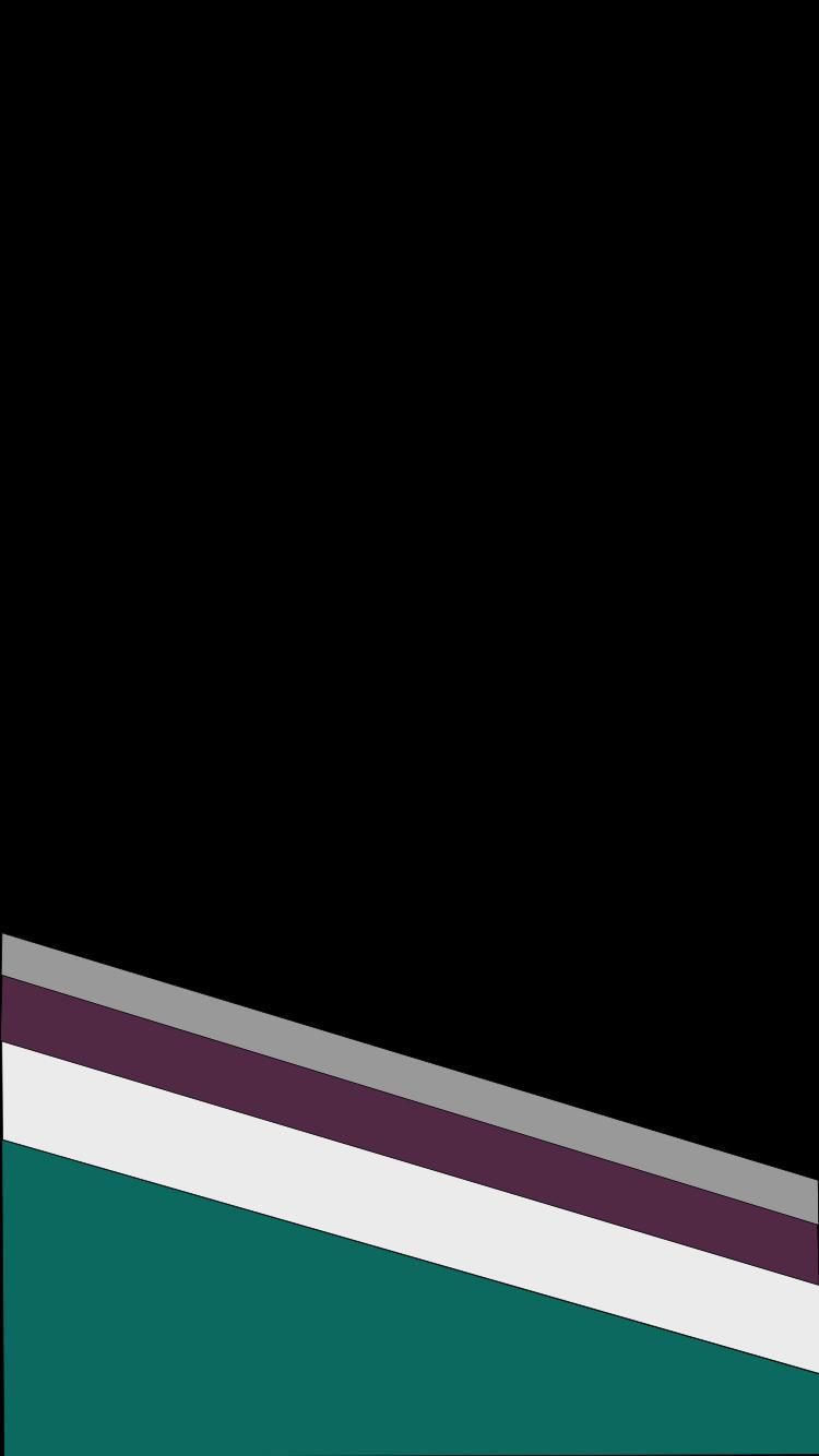 750x1334 Anaheim Ducks 25th Anniversary