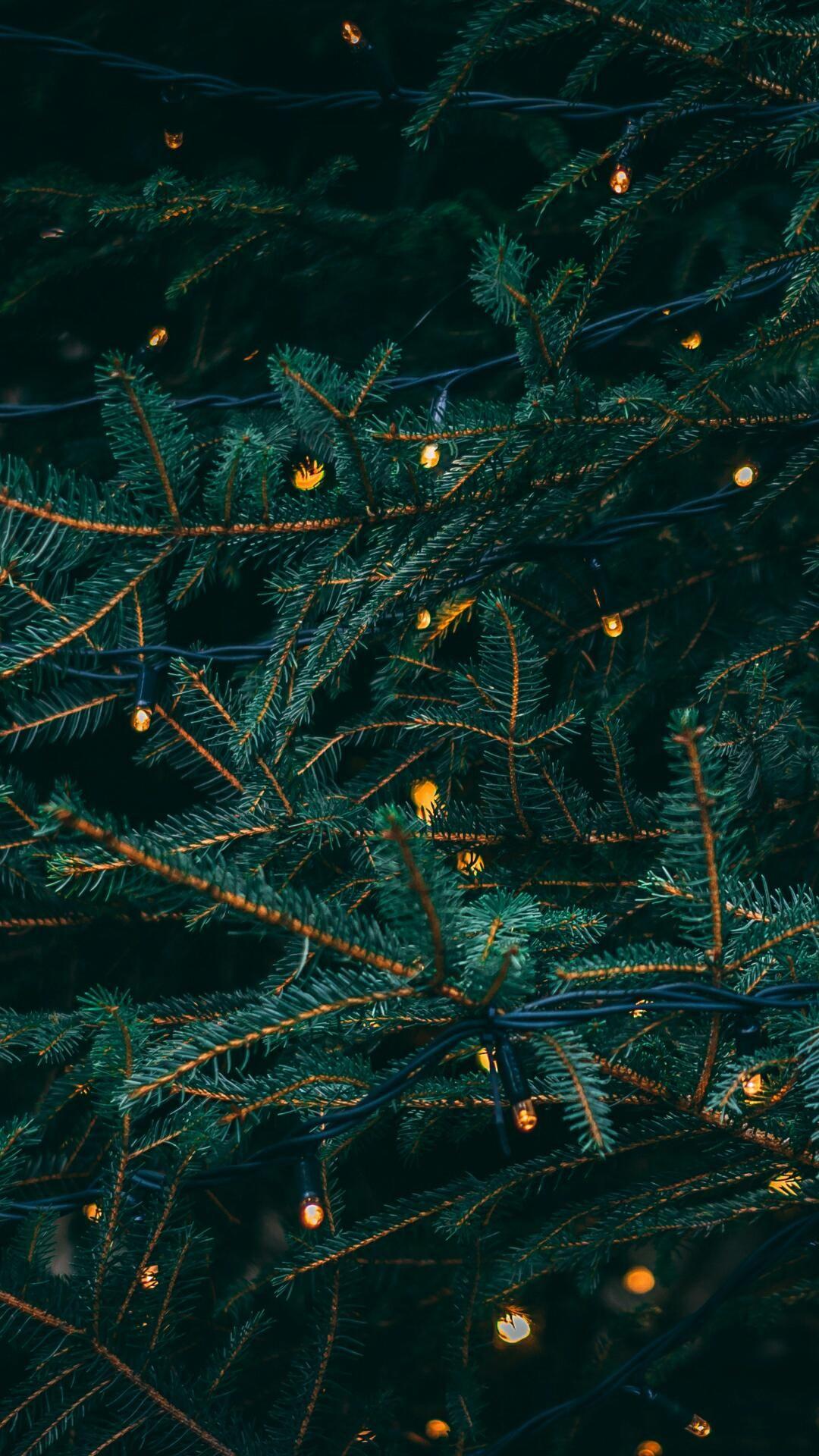 Dark Green Christmas Wallpapers Top Free Dark Green Christmas