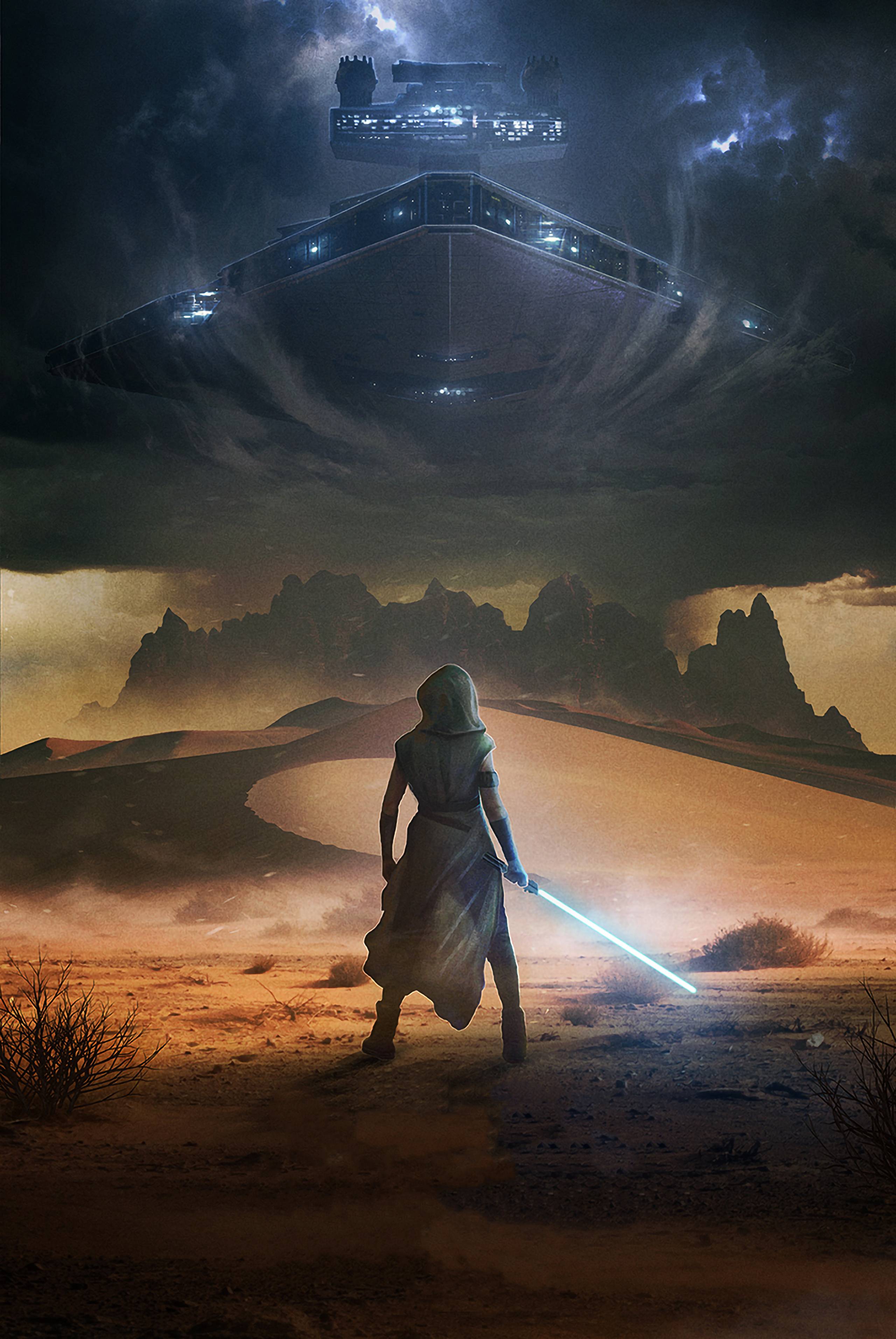 2560x3823 New Star Wars Skywalker Art Wallpaper, HD Movies 4K Wallpaper, Image, Photo and Background