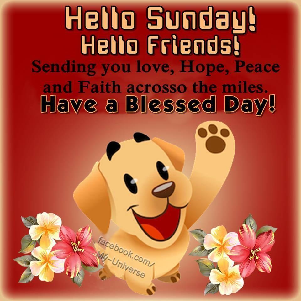 960x960 Hello Sunday! Hello Friends! sunday hello sunday sunday wishes sunday picture sunday greetings sunda. Good morning happy sunday, Good morning happy, Hello sunday