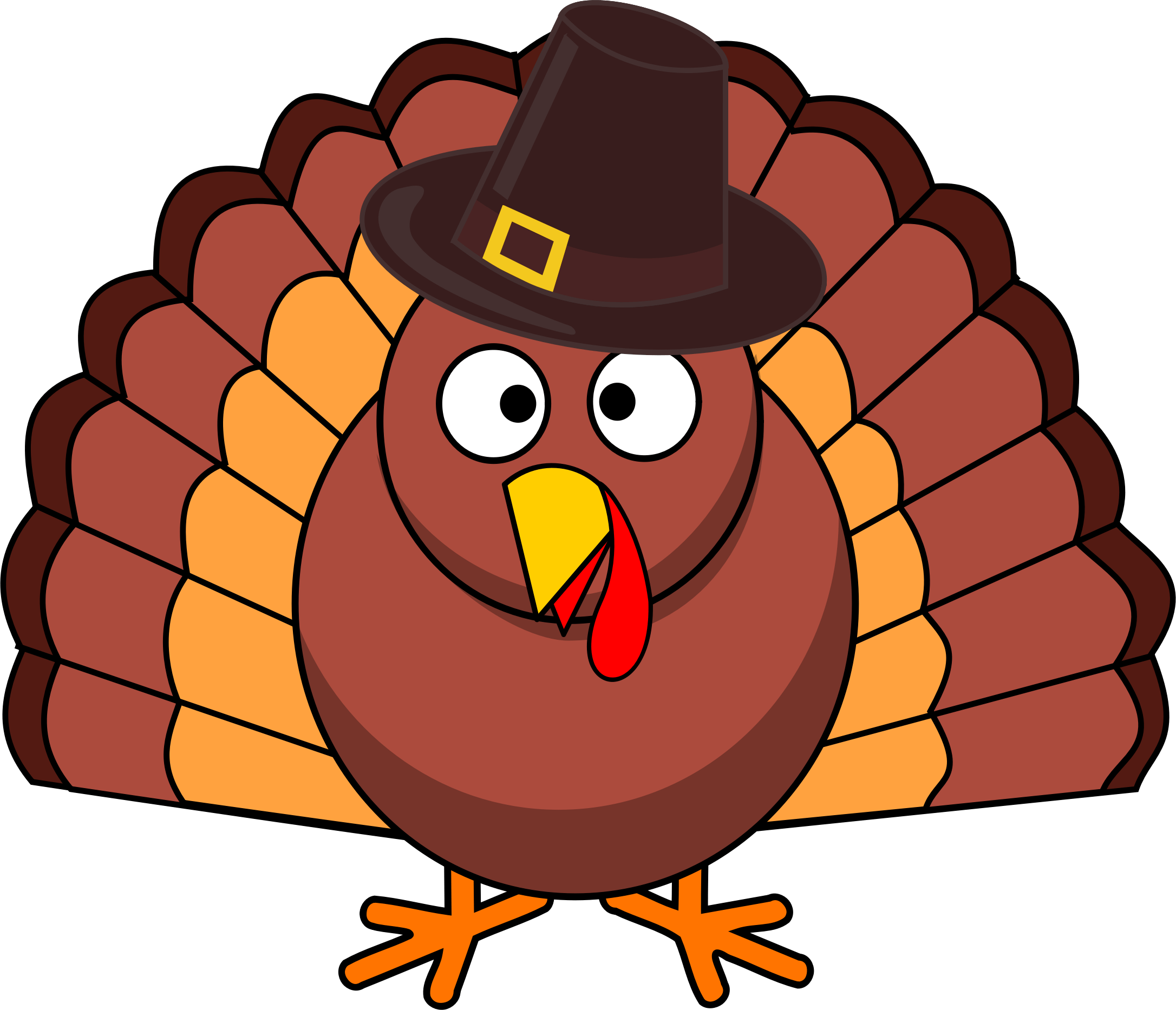 2172x1866 Turkey wallpaper, Animal, HQ Turkey pictureK Wallpaper 2019