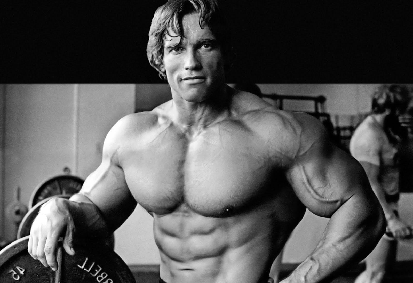 1600x1097 Free download Arnold Schwarzenegger Wallpaper HD [1600x1097] for your Desktop, Mobile & Tablet. Explore Arnold Schwarzenegger Wallpaper. Arnold Schwarzenegger Wallpaper Bodybuilding, Arnold Schwarzenegger iPhone Wallpaper, Arnold Schwarzenegger