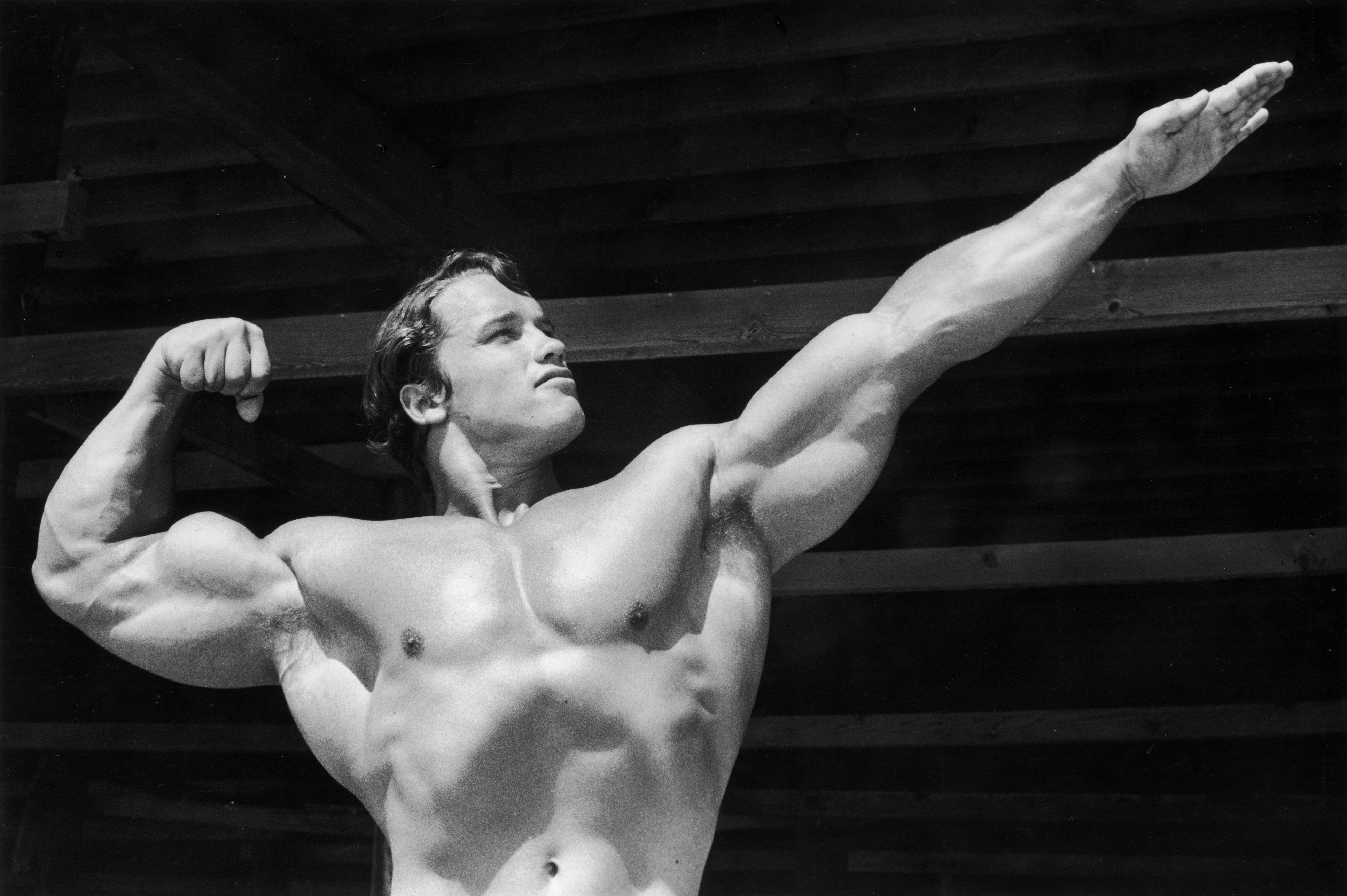 3868x2574 Picture of arnold conquer Wallpaper