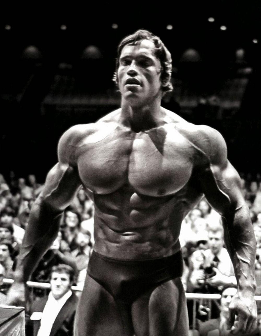 1000x1288 Arnold iPhone Wallpaper