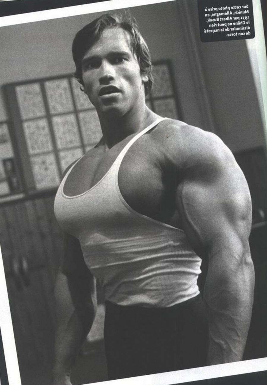 900x1300 Free download arnold bodybuilding wallpaper conquer HD Arnold Schwarzenegger [900x1300] for your Desktop, Mobile & Tablet. Explore Arnold Schwarzenegger Conquer Wallpaper. Arnold Schwarzenegger Wallpaper Bodybuilding, Arnold Motivational
