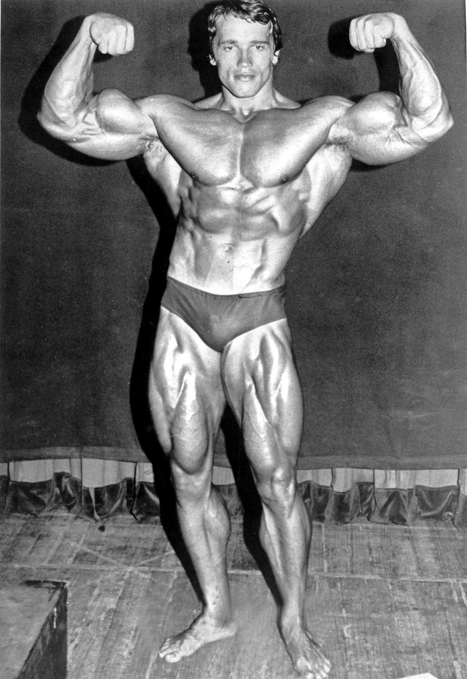 925x1344 Arnold Schwarzenegger Wallpaper HD