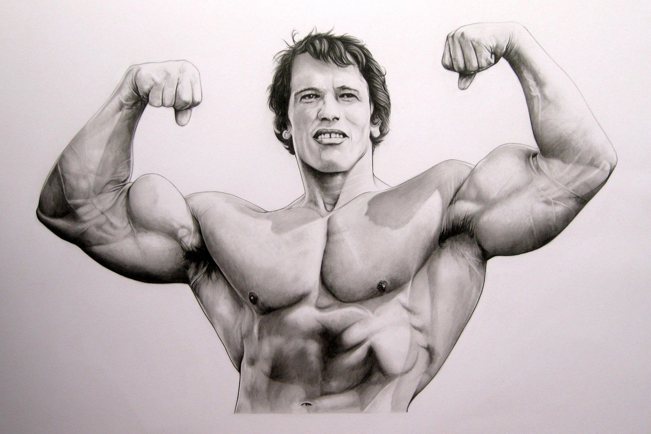 2551x1701 Arnold Schwarzenegger Bodybuilding Wallpaper Posters And Picture