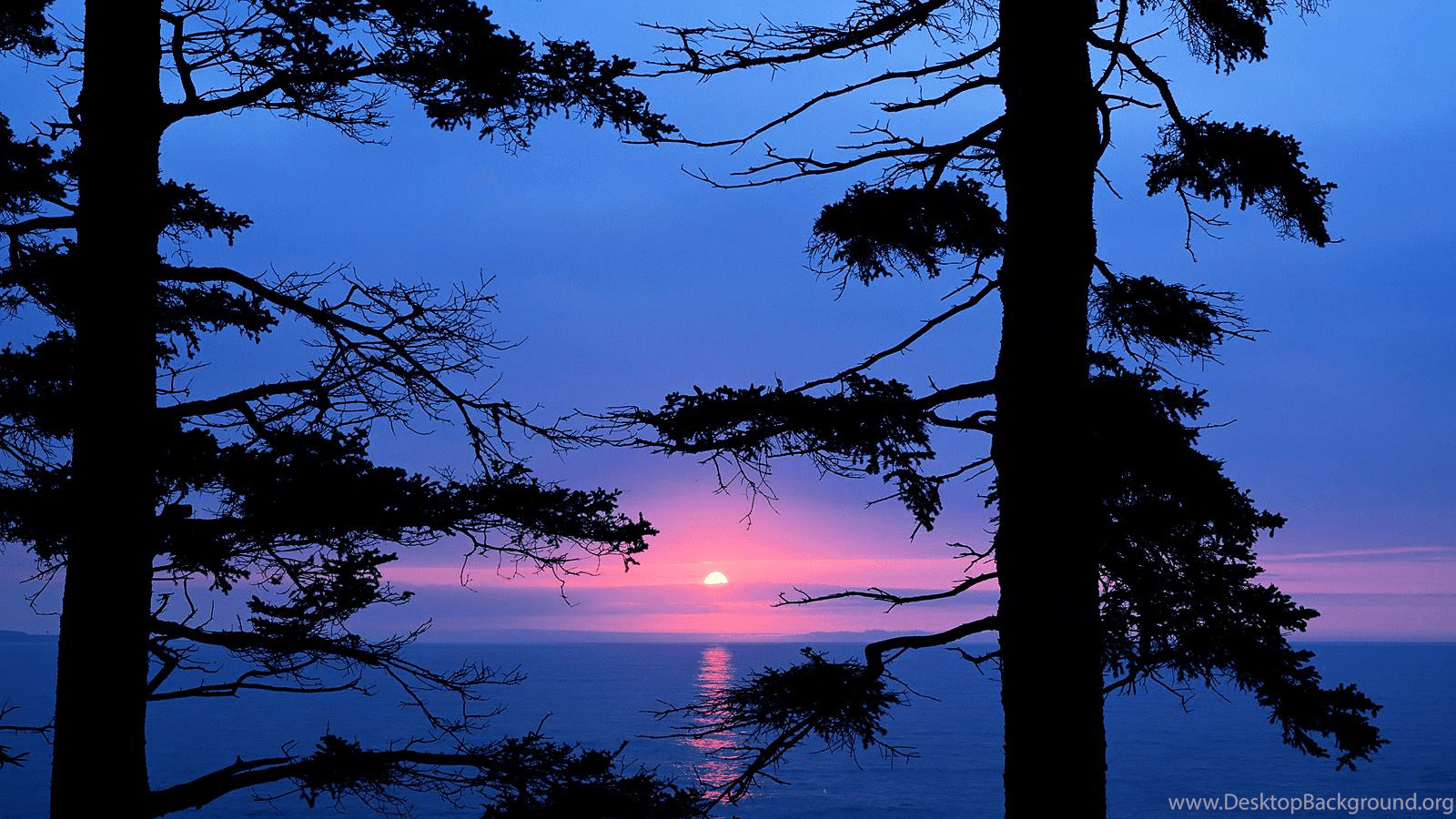1600x900 Acadia National Park Maine Wallpaper, Observations On The Fringe. Desktop Background