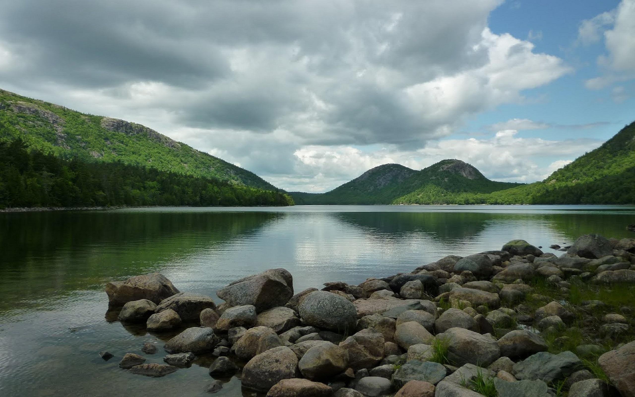 2560x1600 Acadia National Park Wildlife Wallpaper