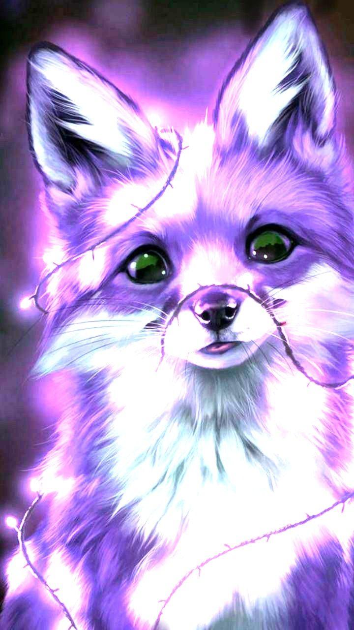 Vibrant Aurora Borealis White Fox Live Wallpaper  free download