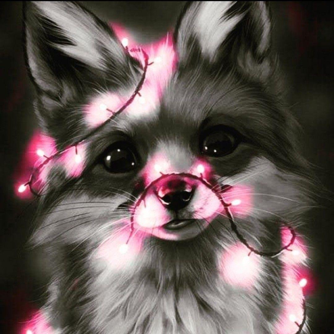 1080x1080 Jade. Cute animal drawings kawaii, Cute cartoon animals, Cute animal drawings