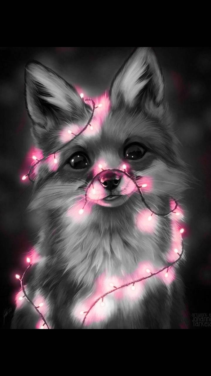 720x1280 Cute Fox Wallpaper