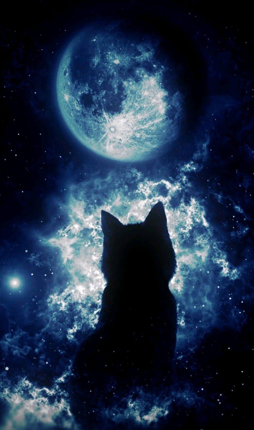 1080x1825 LitterSolutionsCAT My Cat Litter Channel is ALMOST HERE FINALLY!! AHHHHHHHH!!!! Pls Join Me!. Animal wallpaper, Cute wallpaper, Anime scenery