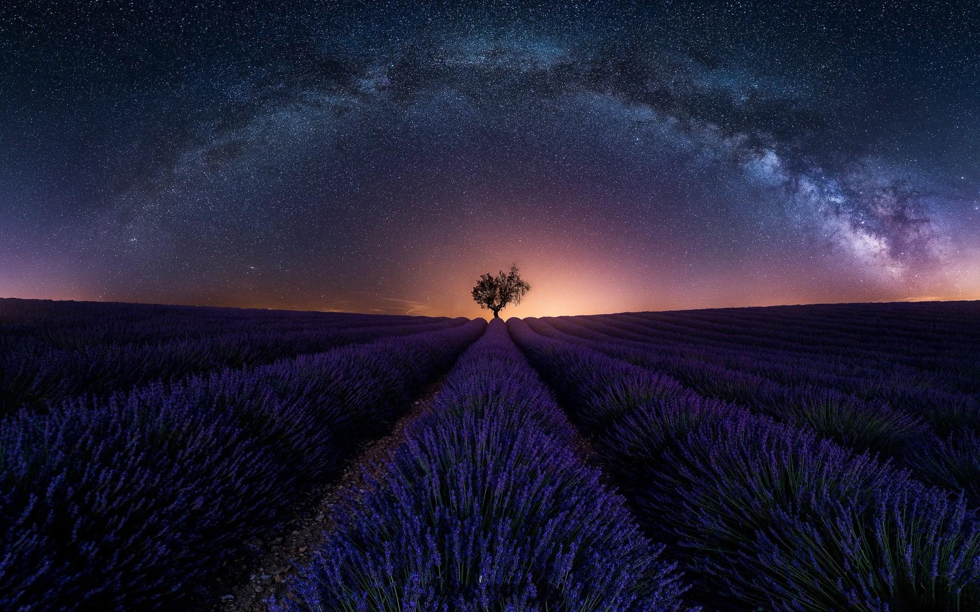 1920x1200 stars, nature, lavender, sunset, landscape, field, France. Mocah HD Wallpaper